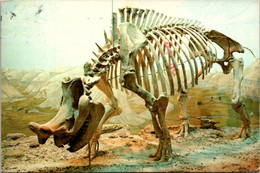 South Dakota Rapid City Dinosaur Skeleton Museum Of Geology 1984 - Rapid City