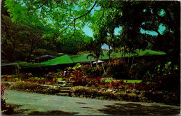 Hawaii Manoa Valley Waioli Tea Room 1974 - Honolulu