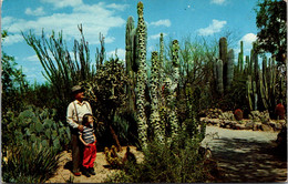Arizona Totem Pole Cactus Desert Botanical Garden Between Tempe And Phoenix - Phoenix