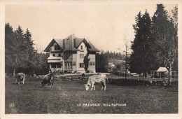 Le Prévoux Villa Barbezat - Vaches - Col Des Roches 1929 - Autres & Non Classés