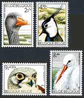 Belgique Belgie Belgium Belgien 1972 Zwin Oie Cendrée, Faucon Falcon, Cigogne, Stork (COB 1652,  Yvert 1644, SG 2293) - Unclassified