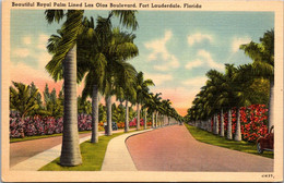 Florida Fort Lauderdale Beautiful Royal Palm Lined Las Olas Boulevard - Fort Lauderdale