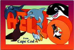 Massachusetts Cape Cod Hello With Comic Animals - Cape Cod