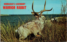 Nebraska Legendary Sandhills Warrior Rabbit 1974 - Altri & Non Classificati