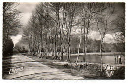 89 - Yonne / CERISIERS -- Etangs De Saint Ange En Forêt D'Othe. - Cerisiers