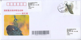 CHINA 2022 Important 1st Class Wildlife(III)  Animals-Green Peafowl Entired Commemorative Cover - Peacocks