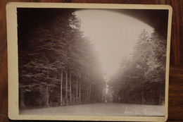 Photo 1890's Le Mazeau Château Près Fontenay Le Comte Tirage Sur PAPIER ALBUMINÉ Support CARTON Photographie Vendée CDC - Alte (vor 1900)