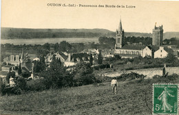 11382 Cpa 44 Oudon - Panorama Des Bords De La Loire - Oudon