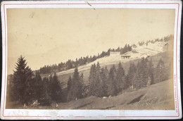 RARE : RIGI KALTBAD - CABINET CARD - ADOLPHE BRAUN - VERS 1865 - Old (before 1900)