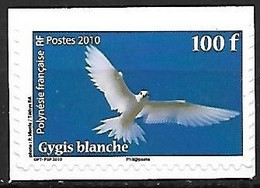 French Polynesia - MNH ** 2010 Self Adhesive Hinged On A  White Paper :    White Tern  -  Gygis Alba - Meeuwen