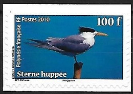 French Polynesia - MNH ** 2010 Self Adhesive Hinged On A  White Paper :       Greater Crested Tern  -  Thalasseus Bergii - Seagulls
