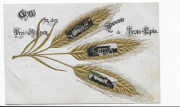 Delcampe - 68 - GRUSS VON DEN DREI AEHREN - SOUVENIR DE TROIS EPIS - Trois-Epis