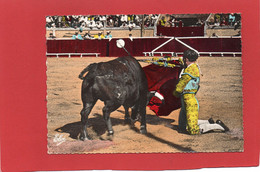 CORRIDA----LA COURSE DE TAUREAUX--une Passe à Genoux--voir 2 Scans - Corrida