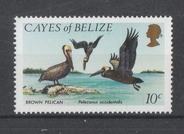 Cayes Di Belize  - 1984.  Pellicani. Pelicans.  MNH - Pelicans