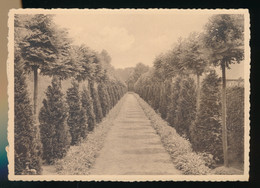 LOVENDEGEM  ZUSTERS VAN LIEFDE - WEG EN KAPEL VAN EERW VADER TRIEST  2 SCANS - Lovendegem