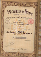 PECHERIES DE FRANCE - ACTION DE 500 FRS - ANNEE 1925 - Navegación