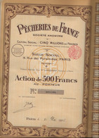 PECHERIES DE FRANCE - ACTION DE 500 FRS - ANNEE 1925 - Scheepsverkeer
