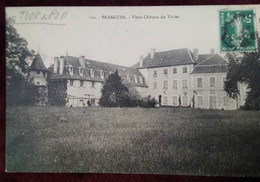 BRANGUES  Vieux Château Du Virieu - Brangues