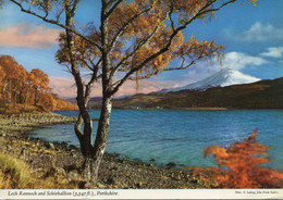 Royaume Uni - Ecosse - Loch Rannoch And Schiehallion, Pertshire - Ecrite, Timbrée - Perthshire