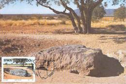 NAMIBIE CARTE MAXIMUM NUM.YVERT 581 DESERT ET FORMATION GEOLOGIQUE REMARQUABLE  CANYON - Namibie (1990- ...)