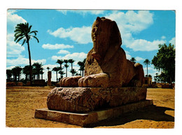 Egypte Egypt Memphis Alabaster Alabastre Sphinx Circulee En 1975 - Sphinx