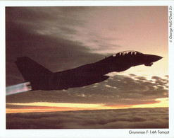 Grumman F-14A Tomcat (I1392) - Vliegtuigen