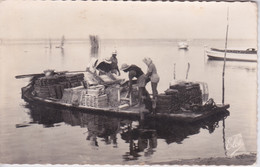 33 - PECHE SUR LE BASSIN D ARCACHON - LE DETROQUAGE DES HUITRES SUR EMBARQCATION  FLOTTANTE   TRAVAUX OSTREICOLES - Pêche