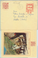 81693 - PERU - POSTAL HISTORY -  Red Mechanical Postmark On PICTURE COVER   1956 - Peru