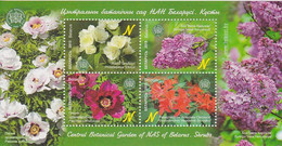 Belarus - Central Botanical Garden Of NAS Of Belarus, Shrubs - Unused Stamps