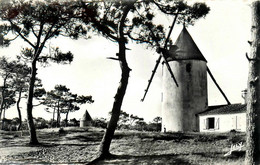 Noirmoutier * Les Moulins à Vent De La Bosse * Molen - Noirmoutier