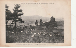 Cpa Du 42 - Paysage Des Environs De Noirétable - Colonie De Vacances De ND De La Guillotière - Lyon - Les Colons - Noiretable