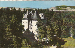 Carte Postale Des Années 50 De La Loire - Noirétable - Le  Chateau De La Croix De Guirande - Noiretable