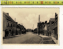 60206 - D12- WESTROZEBEKE NEER PLAATS - VILLAGE BAS - Staden