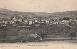 Carte Postale Ancienne De La Loire - Vue Générale De Noirétable - Noiretable