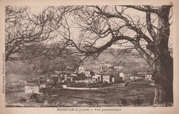Carte Postale Ancienne De La Loire - Noirétable - Vue Panoramique - Noiretable