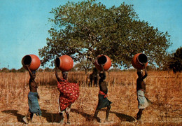 CPM - HAUTE-VOLTA - Scène De Village Femmes Allant Chercher De L'eau Au Puits  ... (femmes Aux Seins Nus) - Burkina Faso