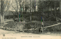 Chatillon Sur Seine * La Source Des Ducs * Bac Passeur * Attelage - Chatillon Sur Seine