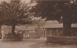 WIDECOMBE IN THE MOOR.  JUDGES - Dartmoor