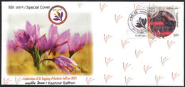 India 2021, Special Cover,Celebration Of GI Tagging Of Kashmir Saffron, Flower, Flora, Biryani Cover (**) Inde Indien - Briefe U. Dokumente