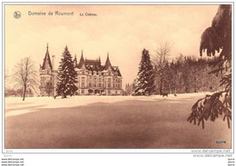 Libramont - Domaine De ROUMONT - Le Château - Kasteel - Libramont-Chevigny