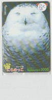 OWL - JAPAN - V029 - PREPAID - Eulenvögel