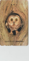 OWL - JAPAN - V035 - 110-011 - Owls