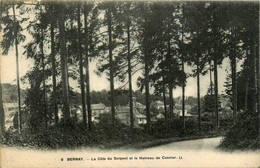 Bernay * La Côte Du Serpent Et Le Hameau Village De Cosnier - Bernay