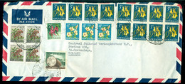 New Zealand 1964 Airmail Cover To Centraal Stikstof Verkoopkantoor The Hague - Poste Aérienne