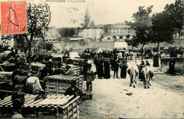 Puylaurens * Le Foirail * Marché Foire Aux Bestiaux - Puylaurens