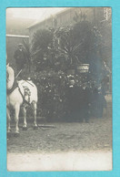 * Waregem - Waereghem (West Vlaanderen) * (Carte Photo - Fotokaart) Concours Cheval, Horse, Paard, Animée, Old TOP - Waregem