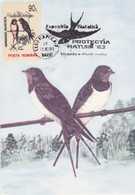 W2144- BARN SWALLOW, BIRDS, ANIMALS, MAXIMUM CARD, 1993, ROMANIA - Rondini