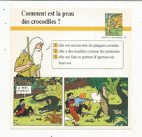 Fiche Illustrée BD,1991,Hergé Moulinsart / Casterman, TINTIN, Le Temple Du Soleil ,crocodile, 150x150 Mm, Frais Fr 1.65e - Other & Unclassified