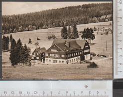 Mühlleithen HO Hotel Buschhaus  Ungelaufen ( AK 2369 ) - Klingenthal