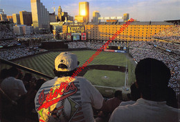 Baltimore - Oriole Park At Camden Yards - Baseball - Maryland - United States - Baltimore